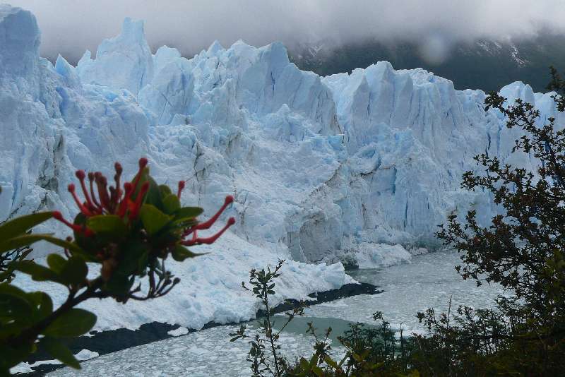 40 Ghiacciaio Perito Moreno